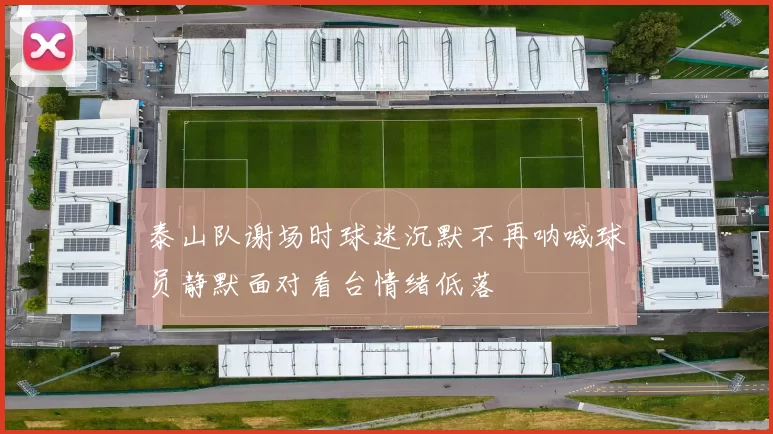 泰山队谢场时球迷沉默不再呐喊球员静默面对看台情绪低落